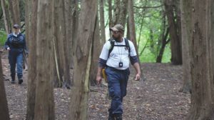 COBOURG -- Ontario Community Emergency Assistance Program search-and-rescue team members Nathan Maraj and Lisa Carrie walk through the woods at James Cockburn Park in Cobourg during a training exercise. The volunteer not-for-profit organization is celebrating 10 years in the community this year, and has put out a call for new volunteers. Sept. 17, 2016.